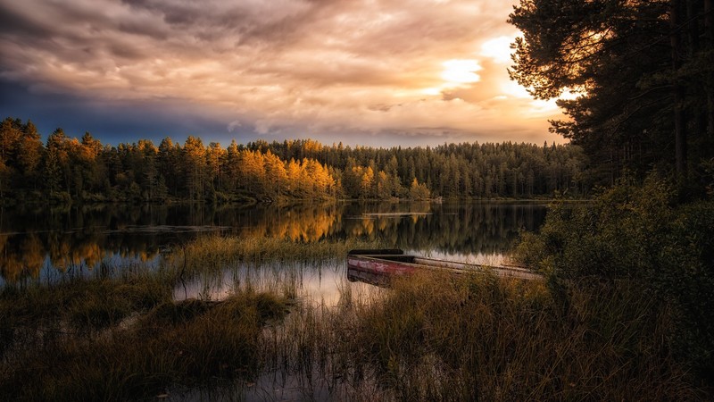 fall, nature, outdoors, sunlight, water