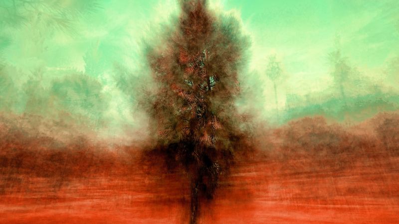 tree, outlines, paint, abstraction, 4k