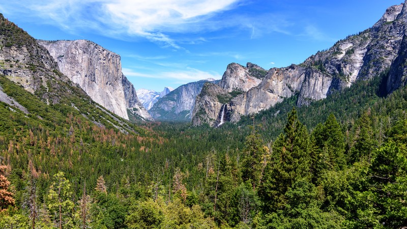 Yosemite Valley, mountains, landscape, forest, trees