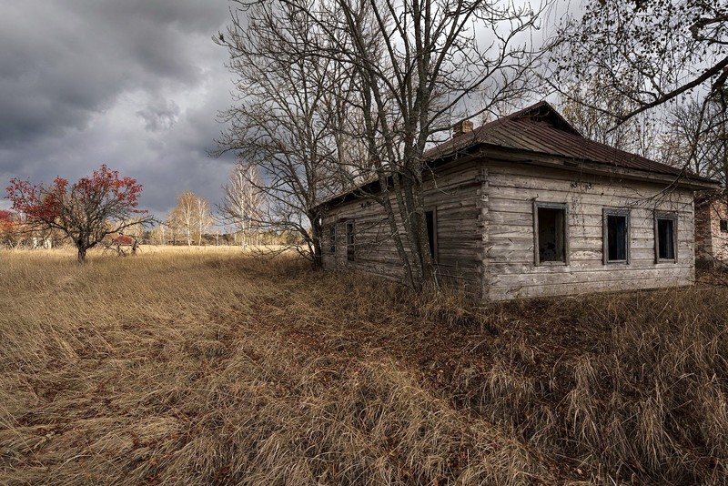 house, ruin, field, outdoors