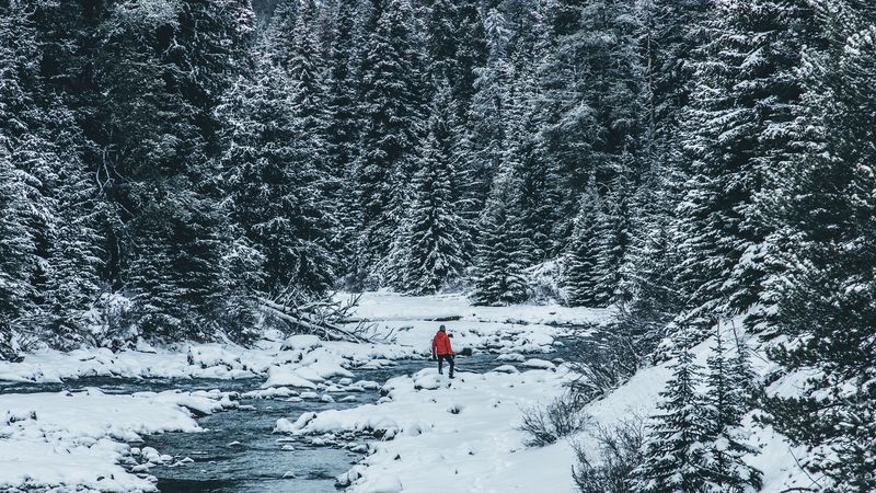 man, winter, river, snow, trees, 4k