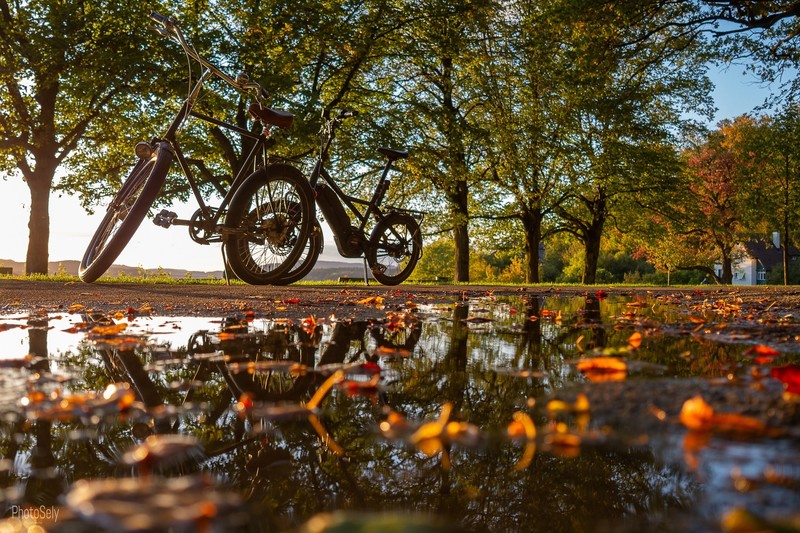 fall, leaves, bicycle, vehicle, trees, wet, fallen leaves, puddle