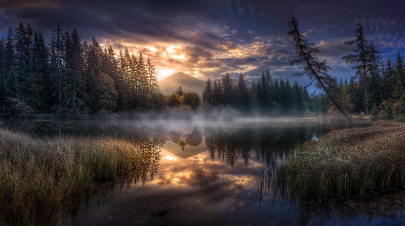 dark, sky, nature, water, mist, outdoors, reflection, trees, sunlight