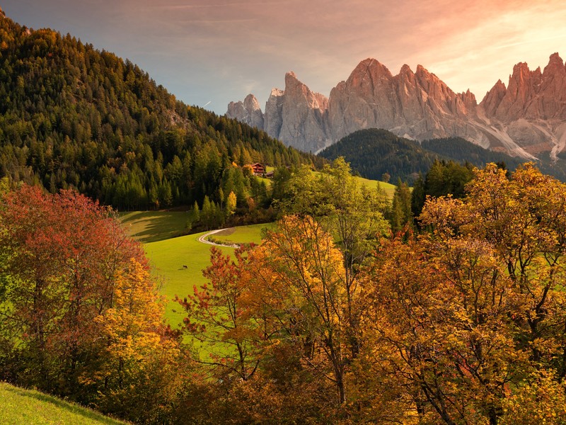 landscape, mountains, nature, forest, trees, fall
