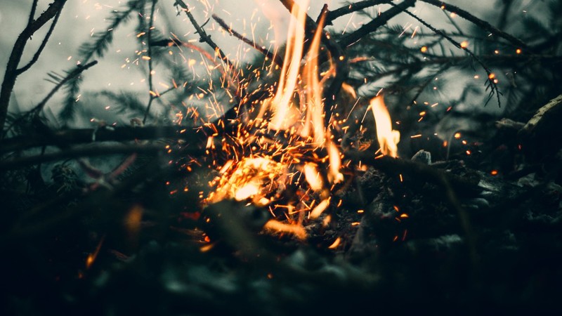 fire, bokeh, closeup, branch, sparks, bonfire, blurred, outdoors, burning