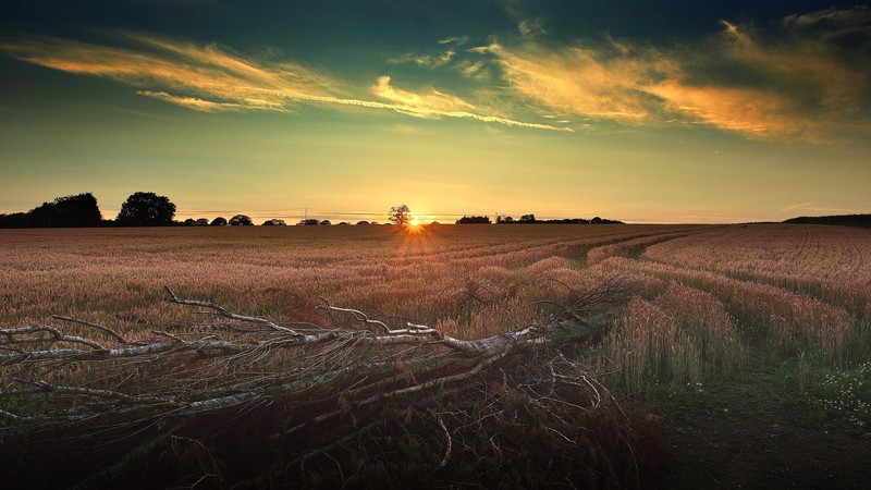 sky, Sun, field, landscape, outdoors, color correction