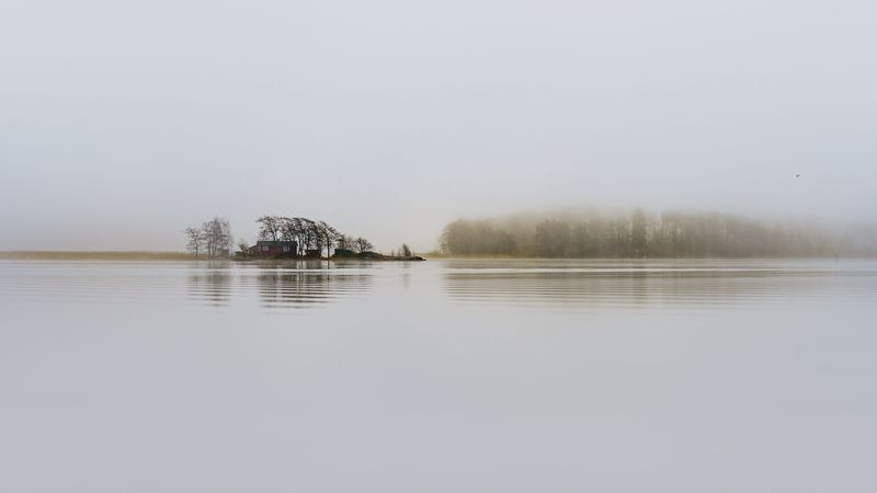 lake, fog, house, silence, trees, helsinki, finland, 4k