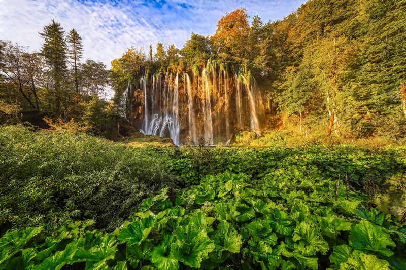 nature, plants, water, waterfall, Croatian