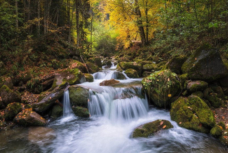 water, waterfall, nature, trees, forest