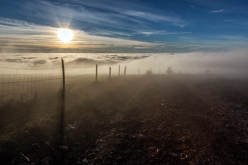 field, landscape, sky, Sun, outdoors