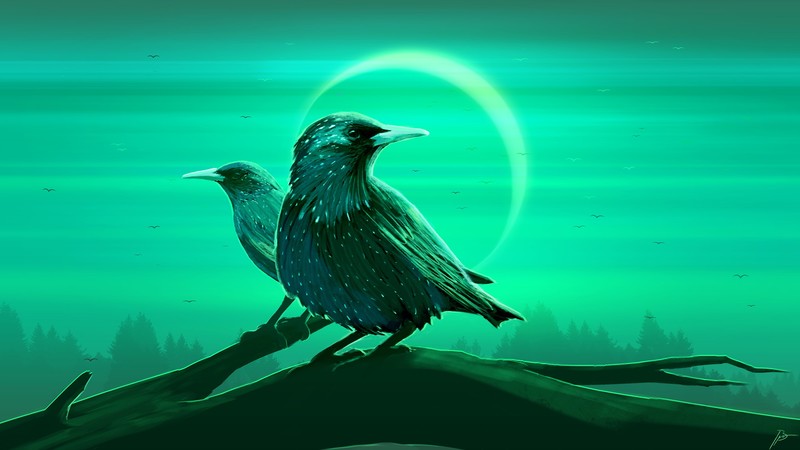 starling, JoeyJazz, birds, forest, green, branch
