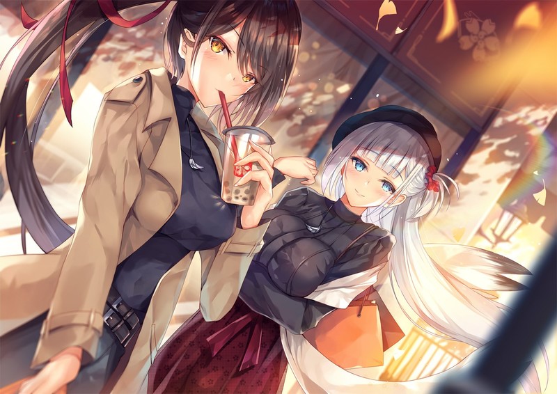 anime, anime girls, digital art, artwork, portrait, 2D, Azur Lane, zuikaku (Azur Lane), Shoukaku (Azur Lane)