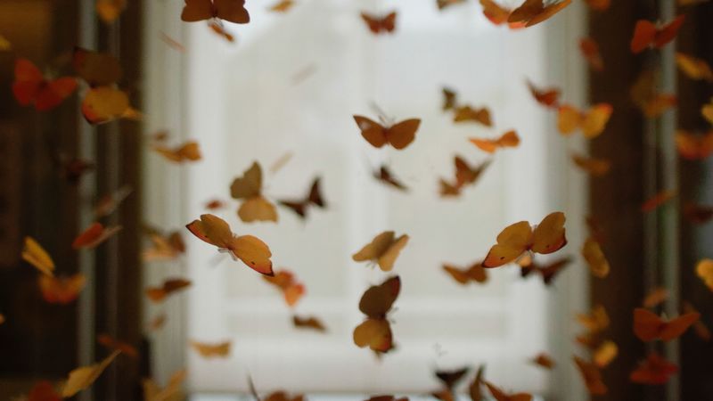 butterflies, space, decoration, design, blur, 4k
