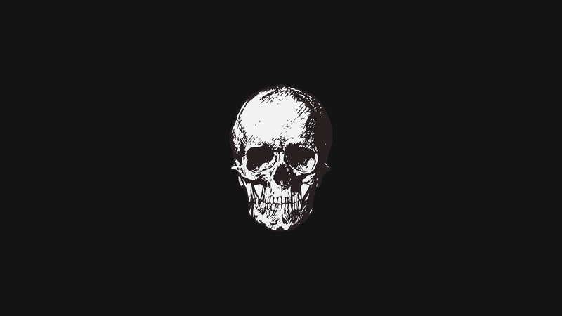skull, minimalism, simple