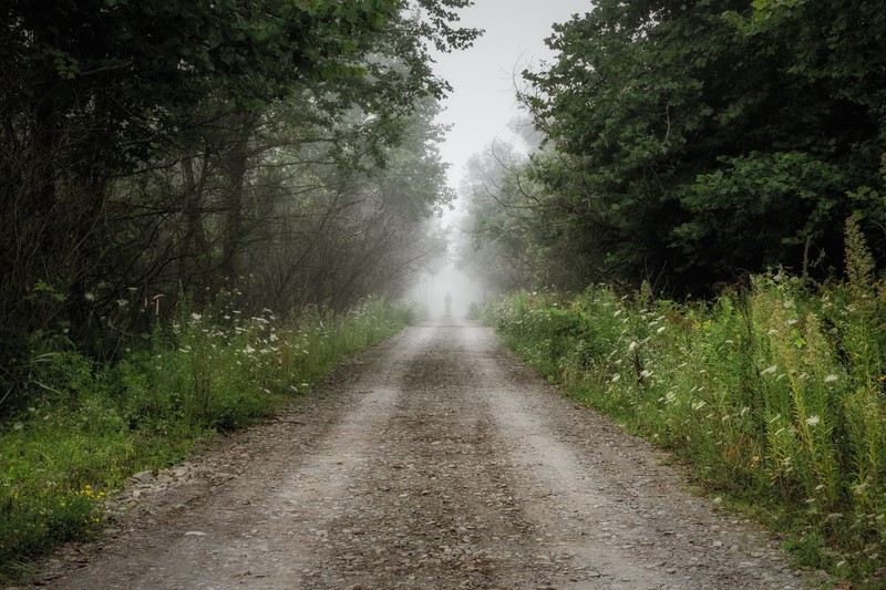 dirt road, road, outdoors, trees