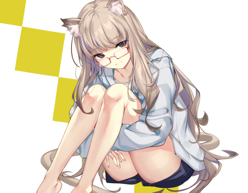 ikomochi, animal ears, glasses, long hair, barefoot, cat girl, shorts, tail, anime, anime girls