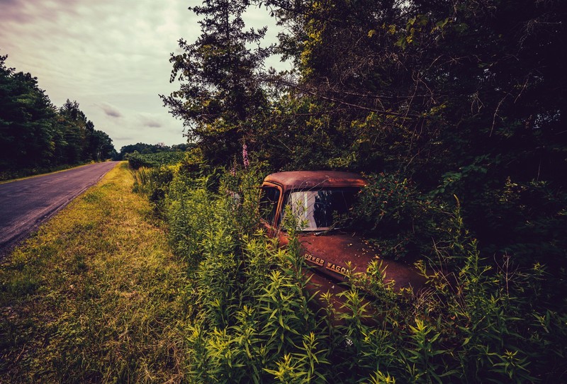 car, vehicle, plants, road, trees, rust, wreck