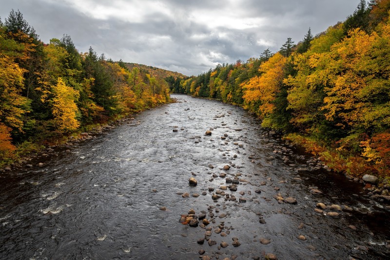 nature, fall, river, water, outdoors