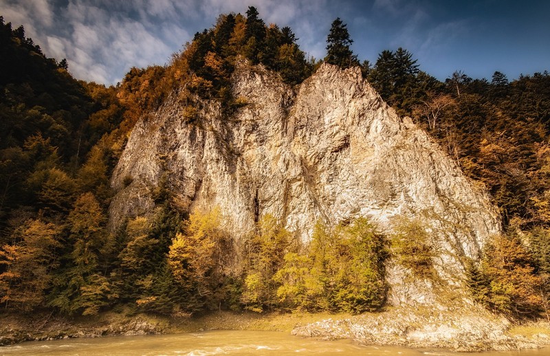 nature, rock, plants, trees, fall