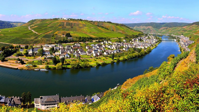 city, nature, river, landscape, field, plants