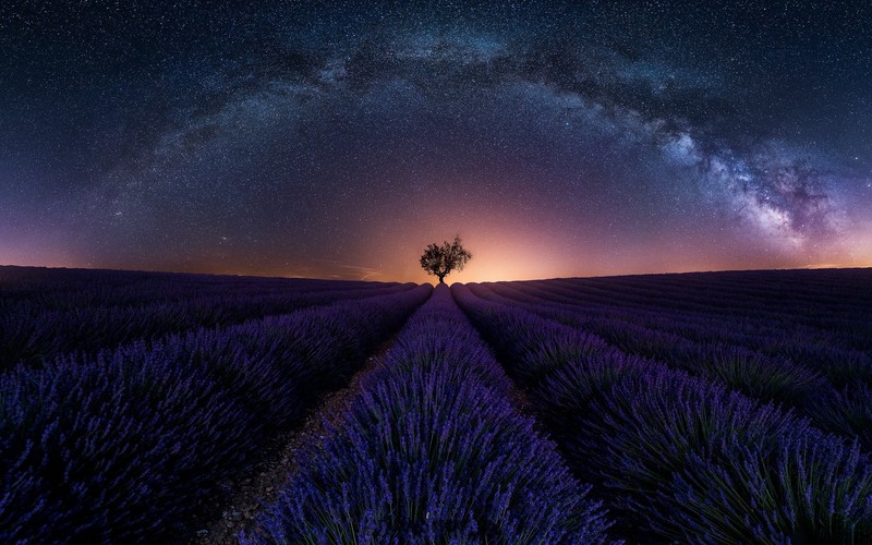 sunset, lavender, field, nature, landscape, France, stars