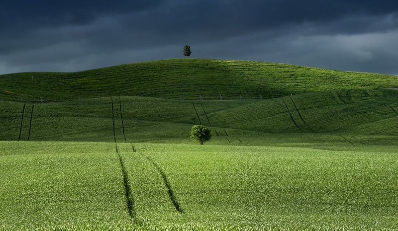 nature, landscape, trees, hill, field, clouds, green