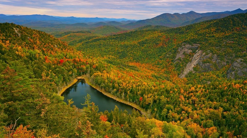 nature, landscape, trees, forest, lake, fall, hill, rock