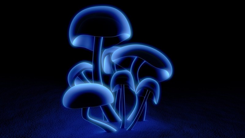 mushroom, digitalblasphemy, ryanbliss
