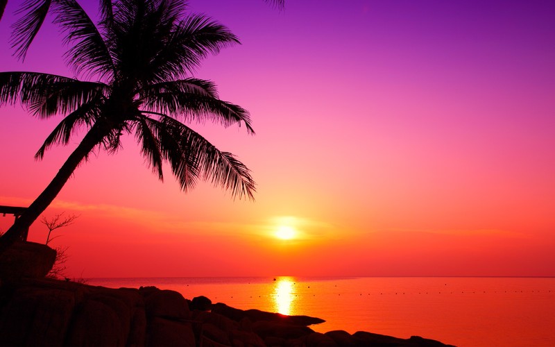 Nangyuan, Sun, sky, sea, outdoors, colorful, palm trees