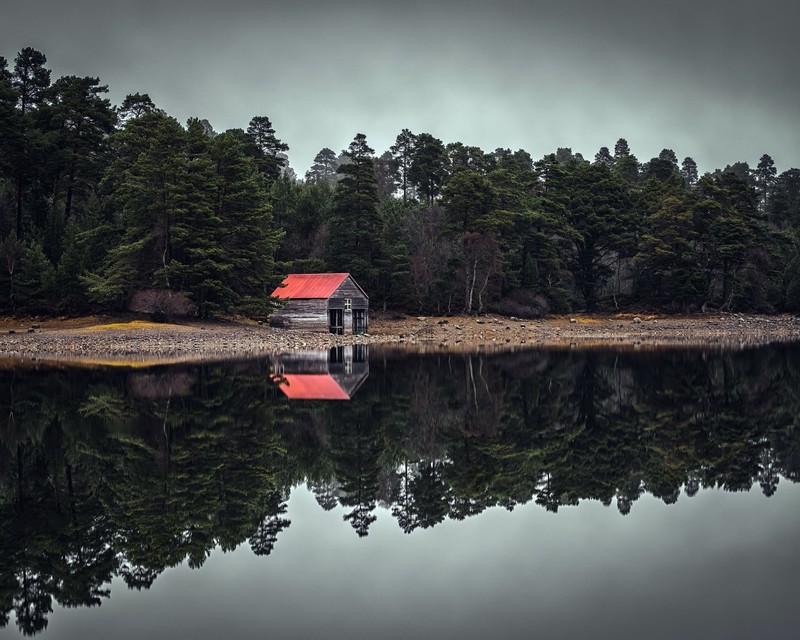 reflection, hut, trees, water, outdoors