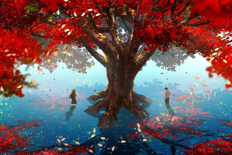 anime, trees, plants, colorful, outdoors