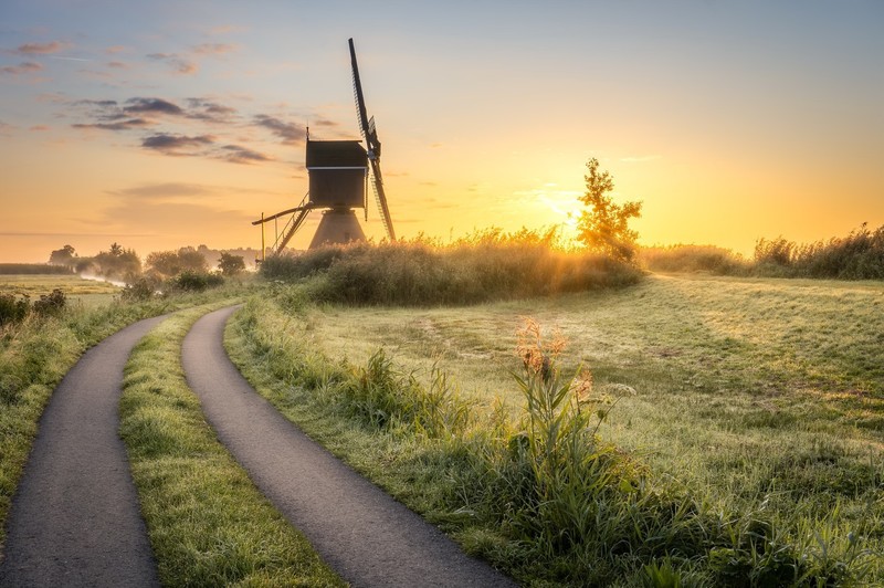 landscape, sunlight, outdoors, windmill