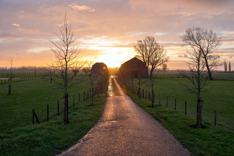 morning, sky, sunlight, farm