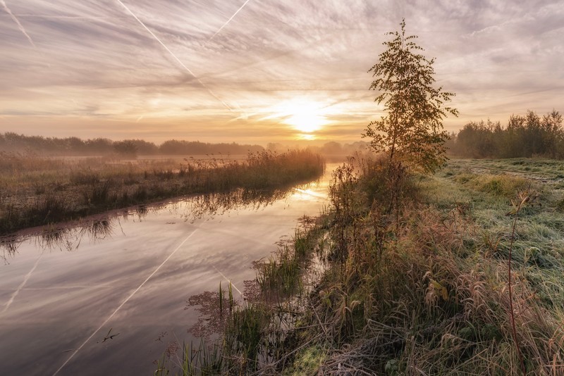 fall, morning, nature, water, landscape, outdoors, sunlight