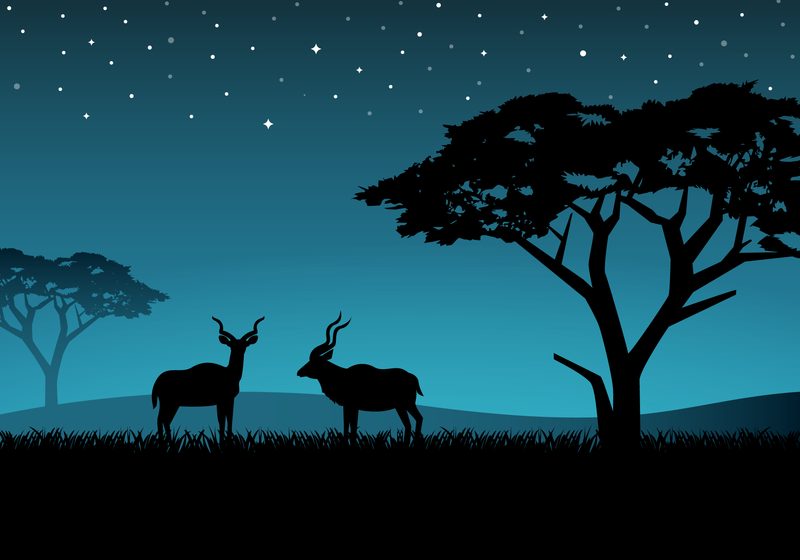 vector, nature, antelope, savannah, umbrella thorn, landscape