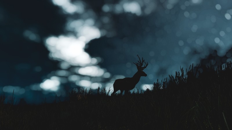 The Witcher, The Witcher 3: Wild Hunt, deer, dark, video games