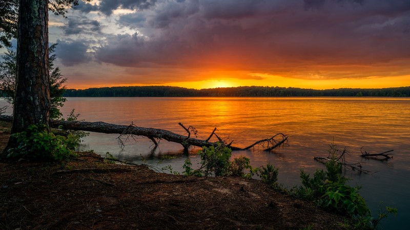 lake, sunset, nature, landscape