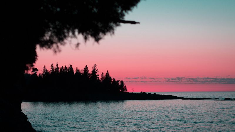 water, sunset, trees, outlines, night, 4k