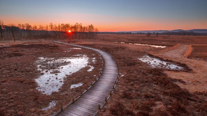 path, sunset, wooden, grass, trees, 4k