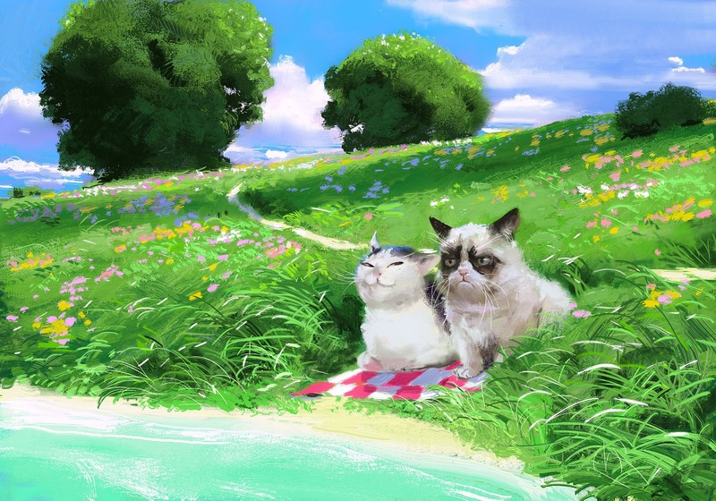 cats, memes, nature, trees, grass, flowers, humor, Grumpy Cat