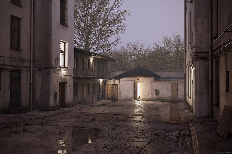 house, puddle, street, trees, morning, faded, cats, door