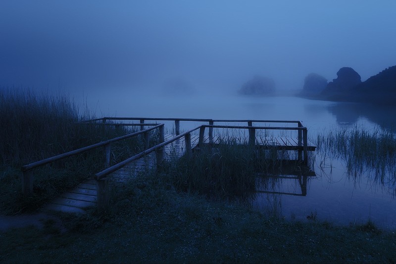 mist, water, grass, loneliness, bridge, trees, faded, nature