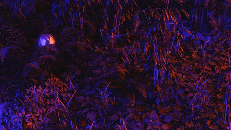 3D graphics, CGI, digital art, jungle, plants, ball, reflects, neon, neon lights, grass, fern