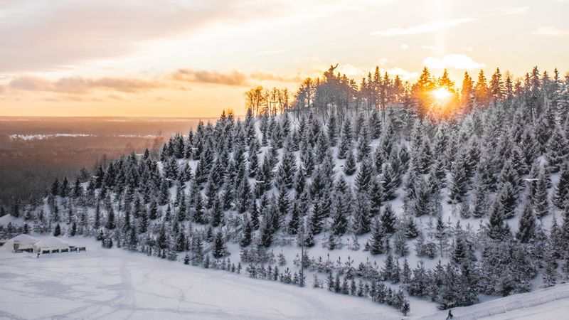 winter, snow, top, trees, sunset, 4k