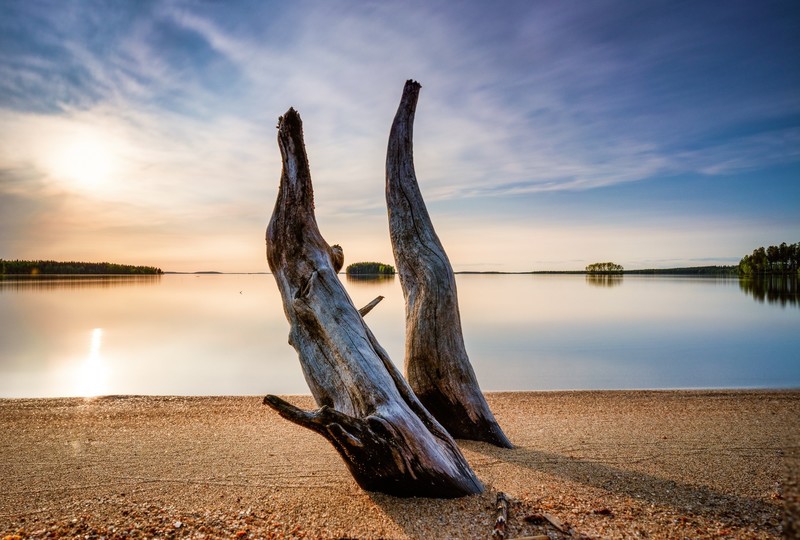 wood, nature, outdoors, sky, water