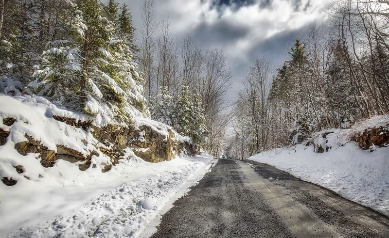 trees, road, snow, winter, outdoors