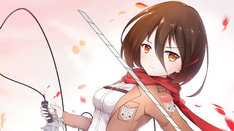 anime, anime girls, Mikasa Ackerman, Shingeki no Kyojin, Attack on Titans