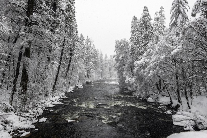 winter, river, water, snow, trees, nature, USA