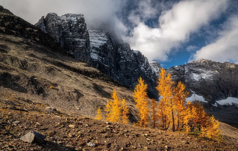 nature, mountains, landscape, fall