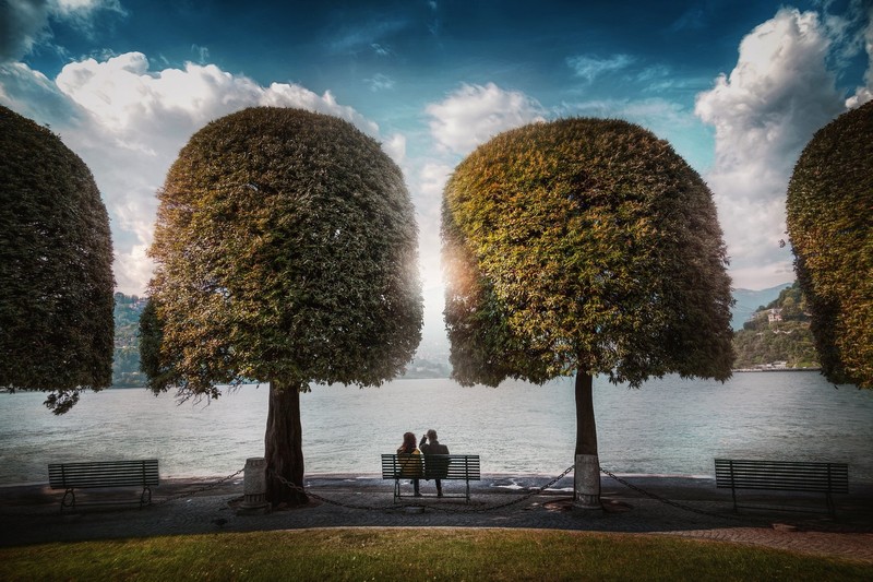 bench, trees, park, outdoors, sunlight, people, couple, sitting